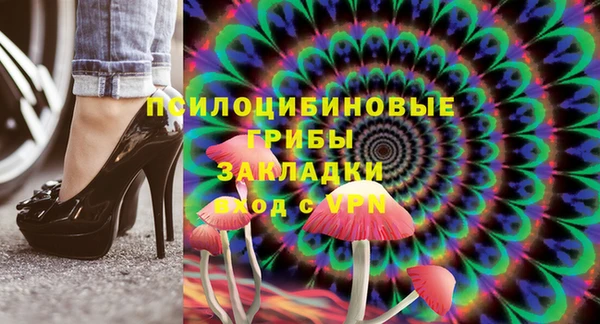 таблы Богородицк