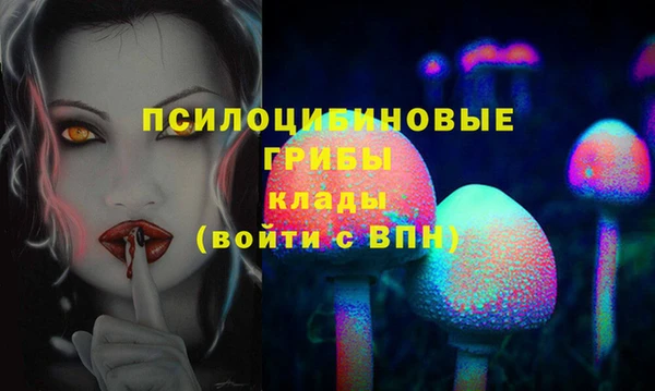 таблы Богородицк