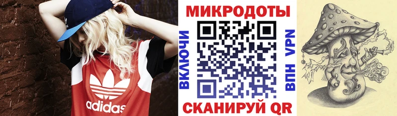 как найти Верхний Тагил Галлюциногенные грибы Magic Shrooms